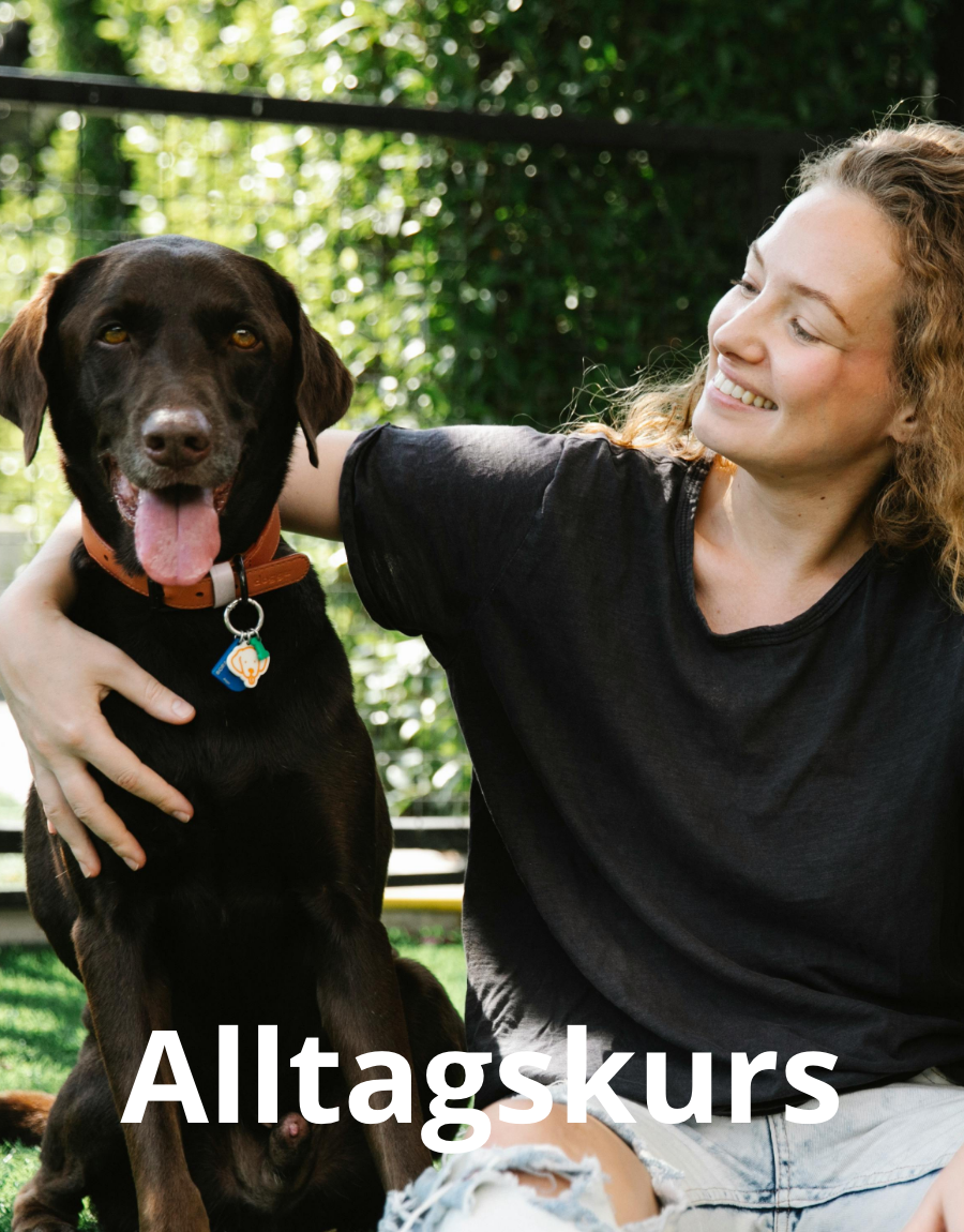 Alltagskurs_mobile