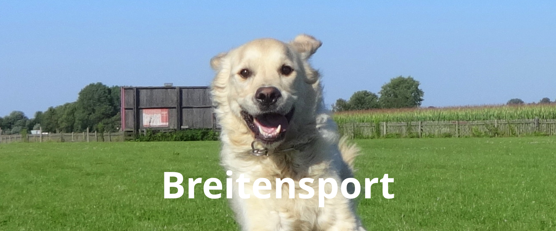 Breitensport